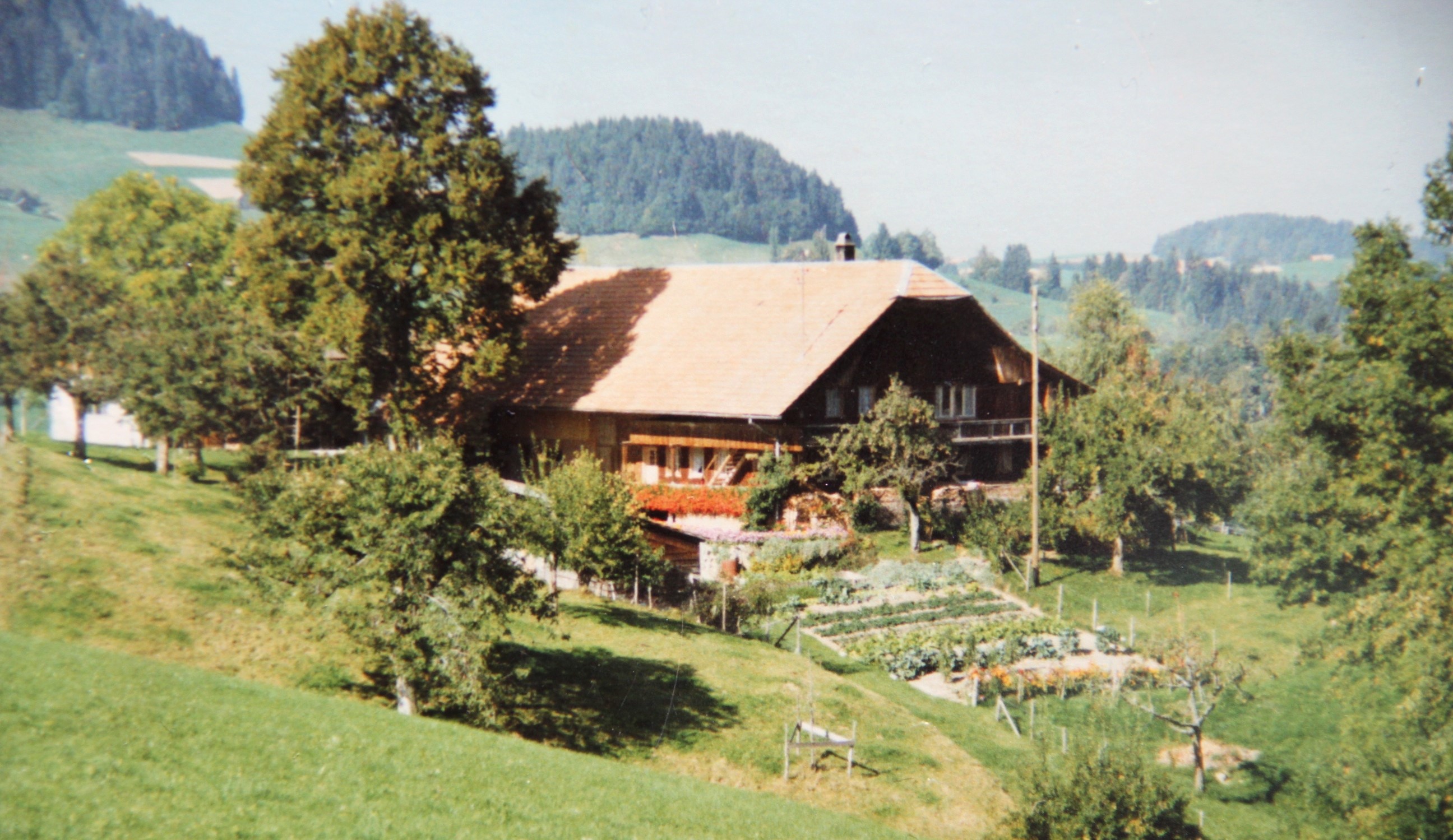 Biohof Dürrenast in Rüschegg